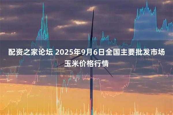 配资之家论坛 2025年9月6日全国主要批发市场玉米价格行情